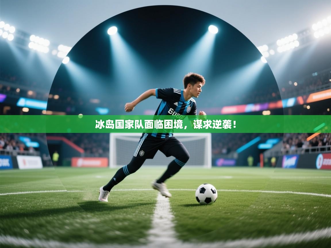 冰岛国家队面临困境，谋求逆袭！  第2张